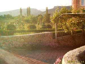 imag0022.jpg