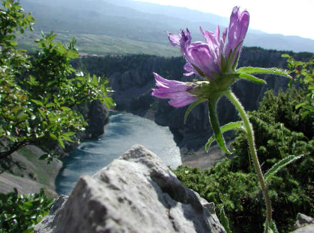 foto-g3-58.jpg